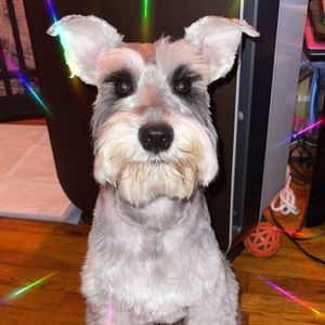 Meet your Posher, Angela